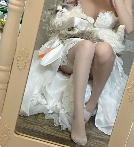 碧血金沙