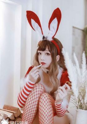 十二猴子[第三季全]