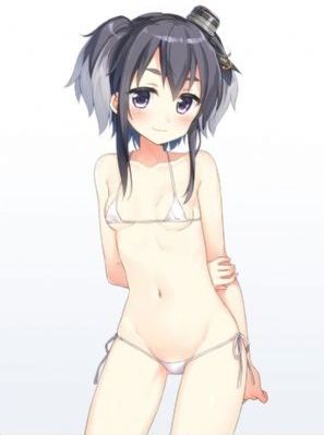 山菊花